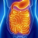 Attention à la pourriture intestinale qui peut être la cause de nombreux symptômes