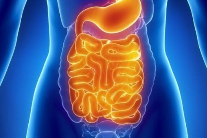 Attention à la pourriture intestinale qui peut être la cause de nombreux symptômes
