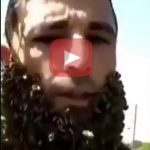 Ce fou turc se fait une barbe de frelon asiatique