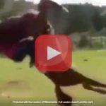 Ce cheval se suicide en direct et tue sa cavalière